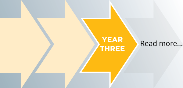 Apprenticeship: Year 2